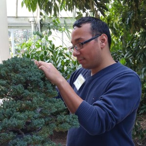 Intern with bonsai