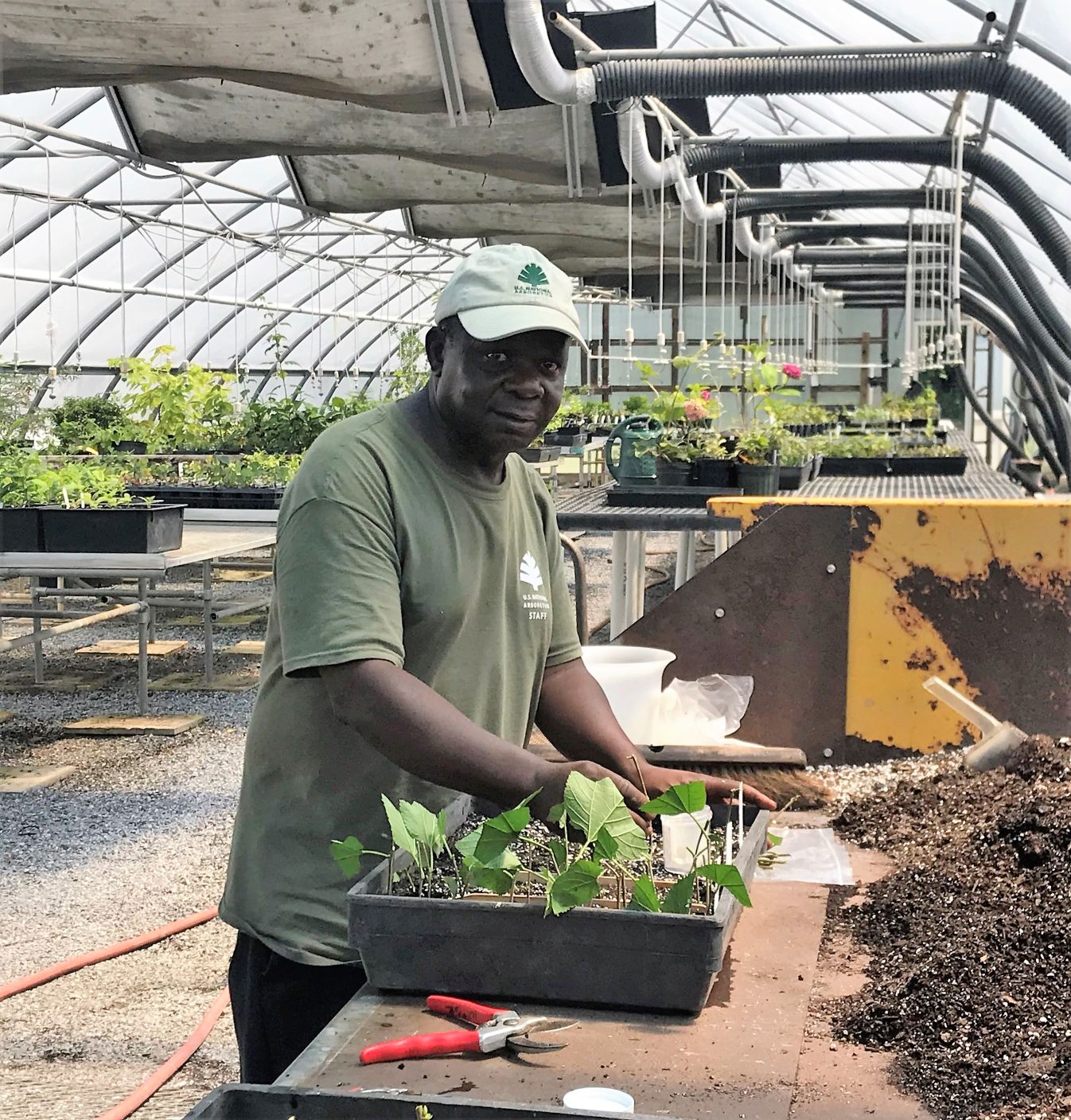 Intern with cuttings